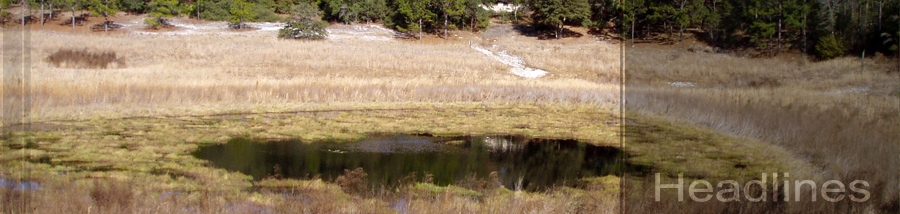 Picture of drying pond