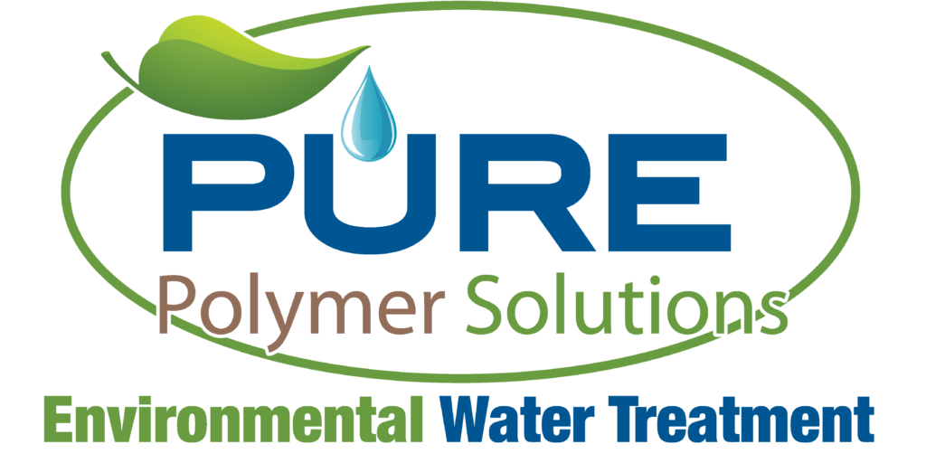 Pure Polymer Solutions
